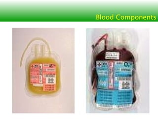 Blood Components 