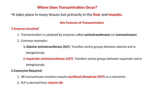 Pharm D metabolism of Proteins introduction [Autosaved].pptx
