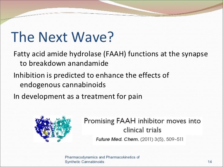 increase thc to how of metabolism of Pharmacokinetics Synthetic and Pharmacodynamics increase thc to how of metabolism of Pharmacokinetics Synthetic and Pharmacodynamics