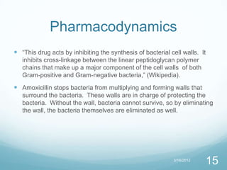 Pharmacodynamics
 “This drug acts by inhibiting the synthesis of bacterial cell walls. It
   inhibits cross-linkage between the linear peptidoglycan polymer
   chains that make up a major component of the cell walls of both
   Gram-positive and Gram-negative bacteria,” (Wikipedia).
 Amoxicillin stops bacteria from multiplying and forming walls that
   surround the bacteria. These walls are in charge of protecting the
   bacteria. Without the wall, bacteria cannot survive, so by eliminating
   the wall, the bacteria themselves are eliminated as well.




                                                            3/16/2012
                                                                            15
 