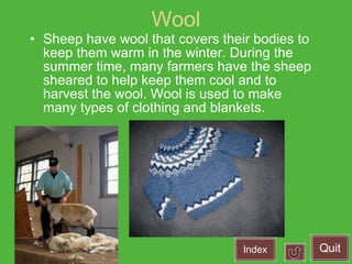 Wool ,[object Object],Index Quit 