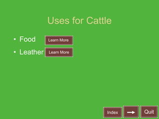Uses for Cattle ,[object Object],[object Object],Learn More Learn More Learn More Index Quit 