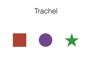 Trachel
 