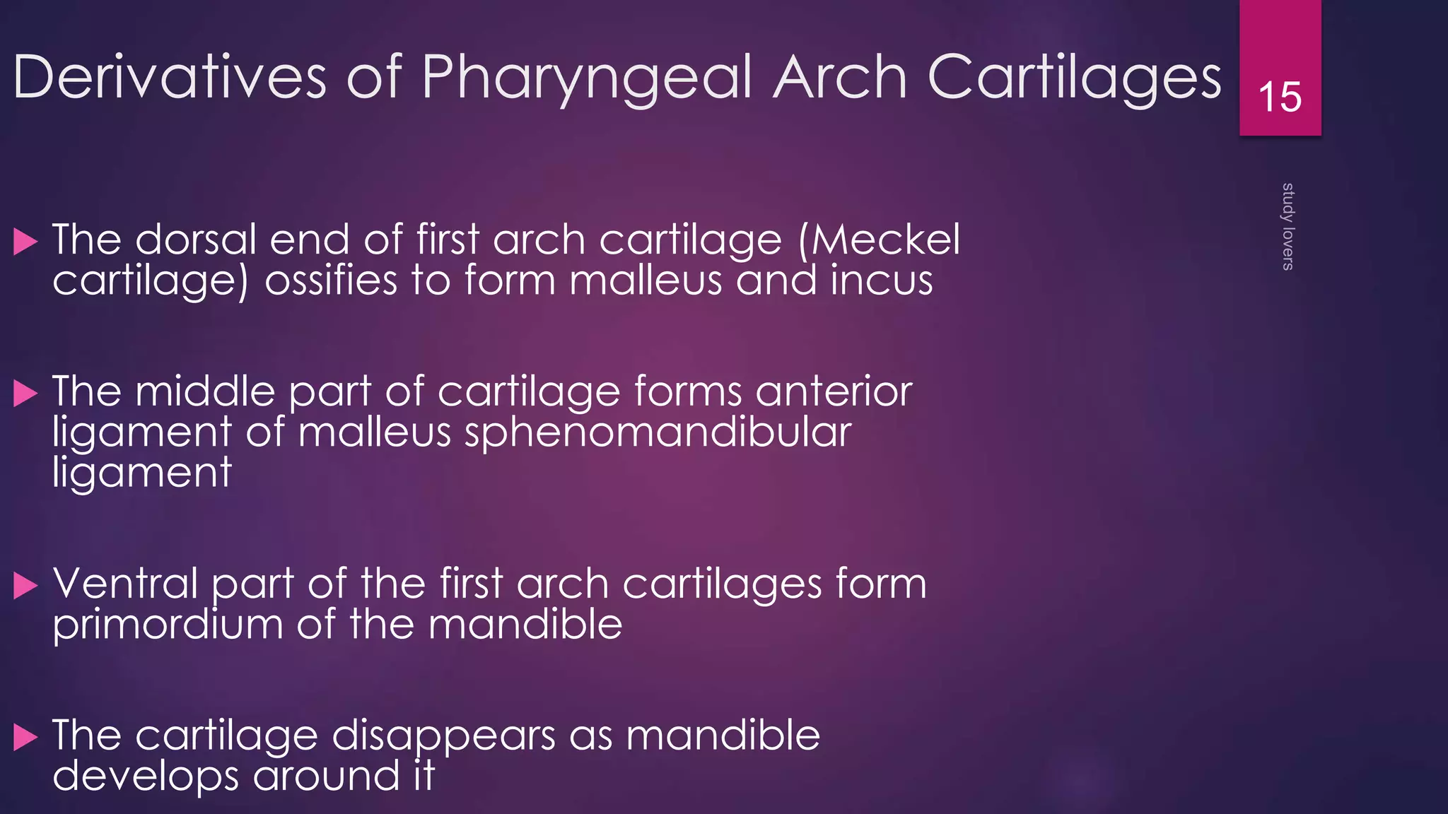 Pharyngeal arches pouches and clefts | PPTX