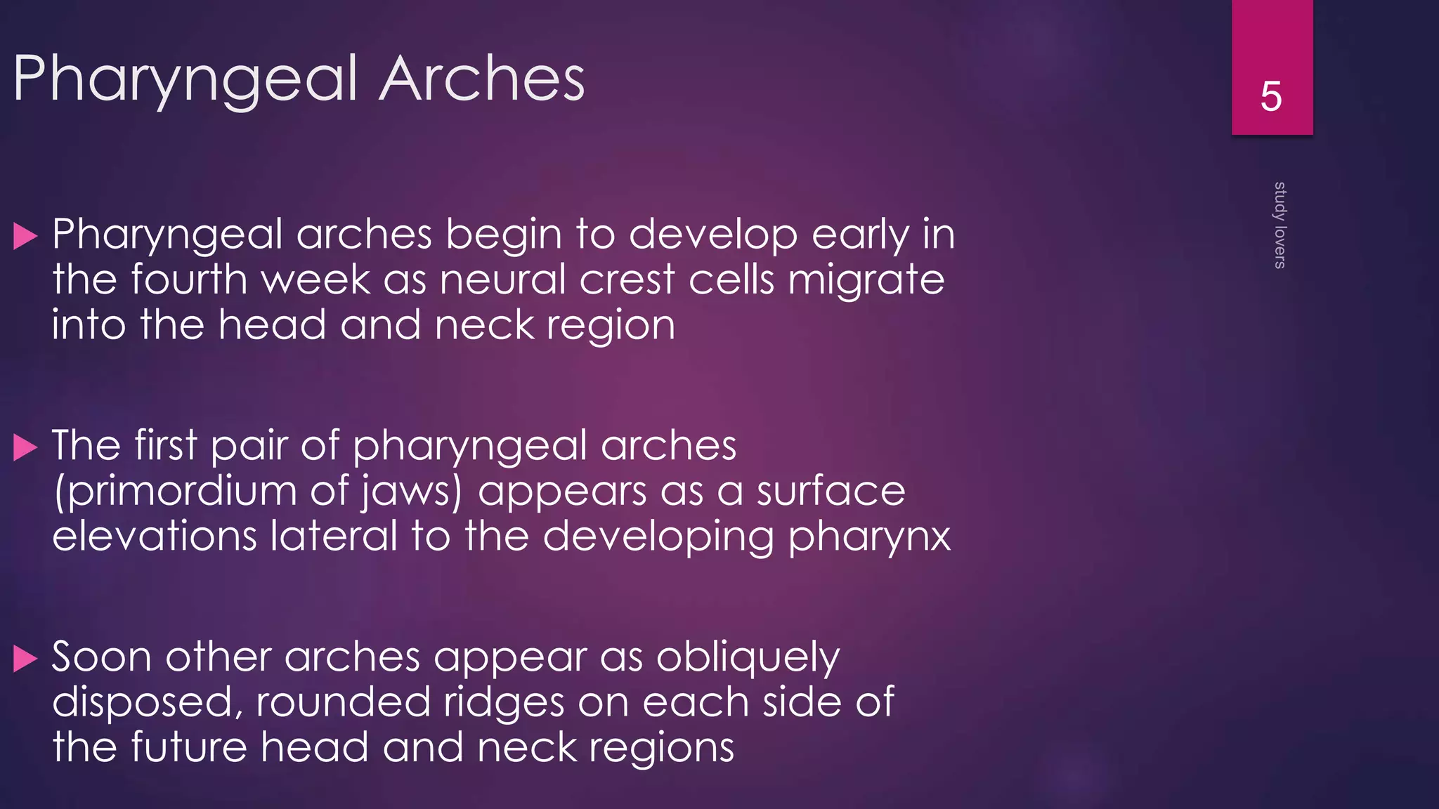 Pharyngeal arches pouches and clefts | PPTX