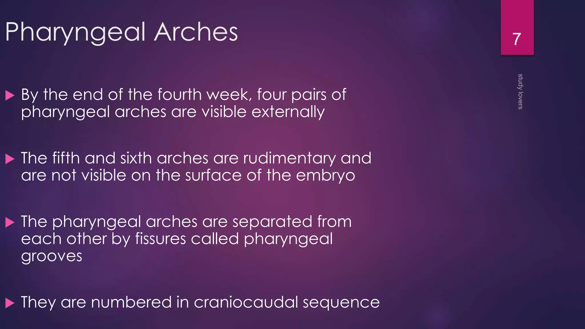 Pharyngeal arches pouches and clefts | PPTX