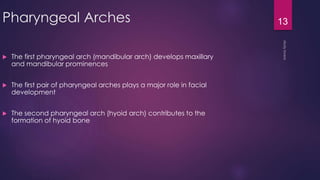 Pharyngeal arches pouches and clefts | PPTX
