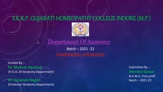 S.K.R.P. GUJARATI HOMEOPATHY COLLEGE INDORE (M.P.)
Department Of Anatomy
Batch – 2021 -22
PHARYNGEALAPPARATUS
Guided By :-
Dr. Mukesh Agrawal
{H.O.D. Of Anatomy Department}
Dr. Anukrati Nagori
{Professor Anatomy Department}
Submitted By :-
Jitendra Gurjar
B.H.M.S. First proff.
Batch – 2021-22
 