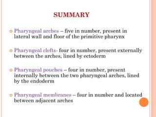 SUMMARY
 Pharyngeal arches – five in number, present in
lateral wall and floor of the primitive pharynx
 Pharyngeal clefts- four in number, present externally
between the arches, lined by ectoderm
 Pharyngeal pouches – four in number, present
internally between the two pharyngeal arches, lined
by the endoderm
 Pharyngeal membranes – four in number and located
between adjacent arches
 