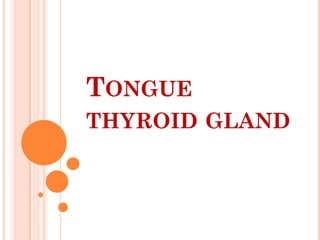 TONGUE
THYROID GLAND
 