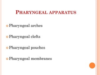  Pharyngeal arches
 Pharyngeal clefts
 Pharyngeal pouches
 Pharyngeal membranes
PHARYNGEAL APPARATUS
 