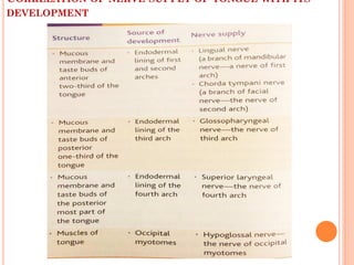CORRELATION OF NERVE SUPPLY OF TONGUE WITH ITS
DEVELOPMENT
 