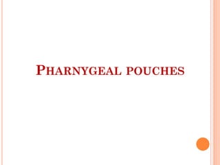 PHARNYGEAL POUCHES
 
