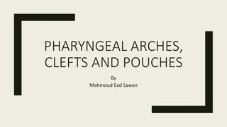 PHARYNGEAL ARCHES,
CLEFTS AND POUCHES
By
Mahmoud Ead Sawan
 
