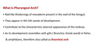 What is Pharyngeal Arch?
• Rod-like thickenings of mesoderm present in the wall of the foregut.
• They appear in 4th-5th weeks of development.
• Contribute to the characteristic external appearance of the embryo.
• As its development resembles with gills ( Branchia: Greek word) in fishes
& amphibians, therefore also called as Branchial arch
 