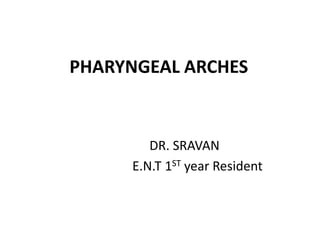PHARYNGEAL ARCHES
DR. SRAVAN
E.N.T 1ST year Resident
 