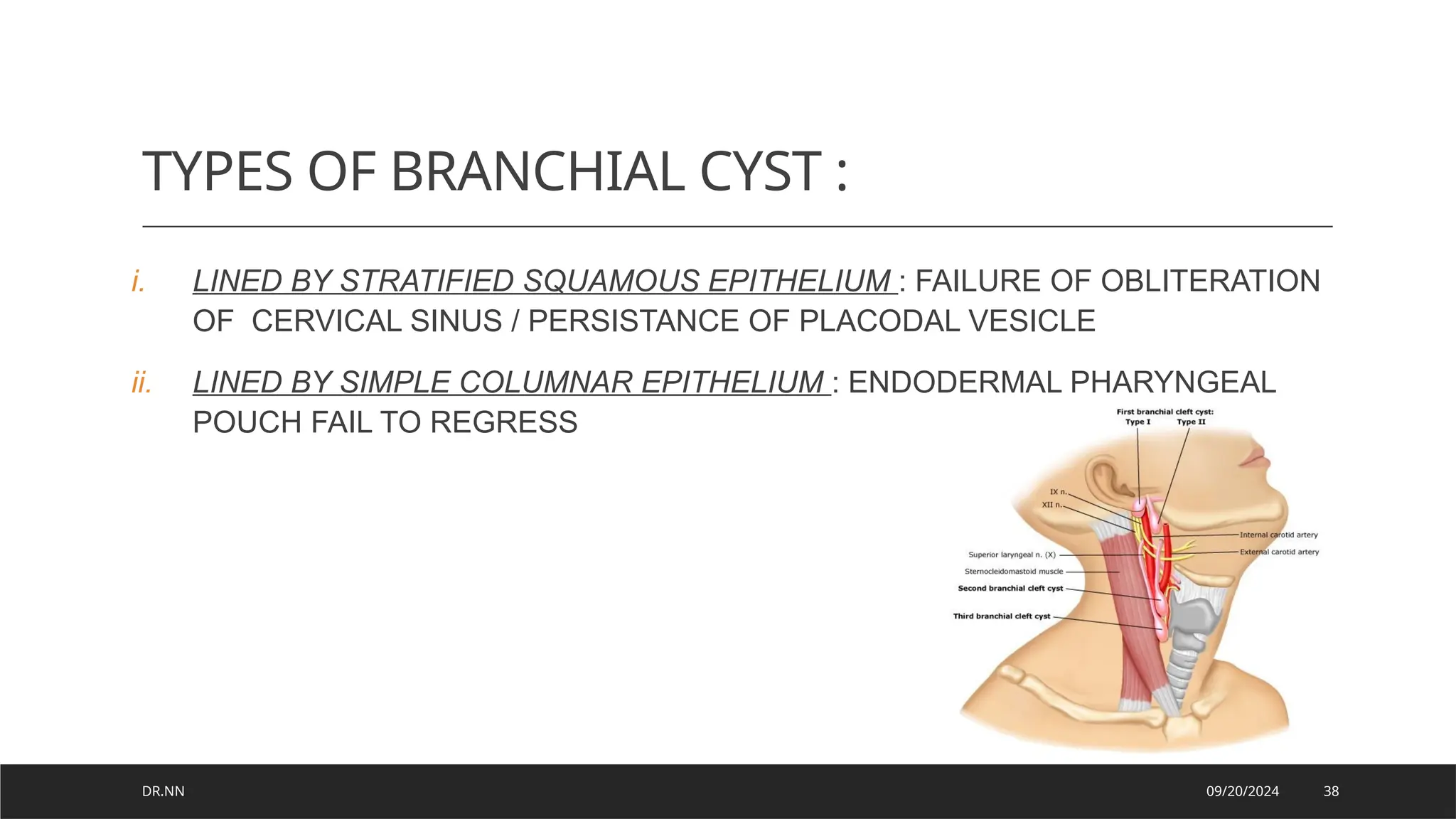Development of Pharyngeal arches and derivatives.pptx