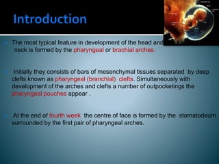 Pharyngeal arches and pouches | PPTX