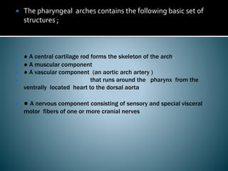 Pharyngeal arches and pouches | PPTX