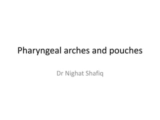 Pharyngeal arches and pouches
Dr Nighat Shafiq
 