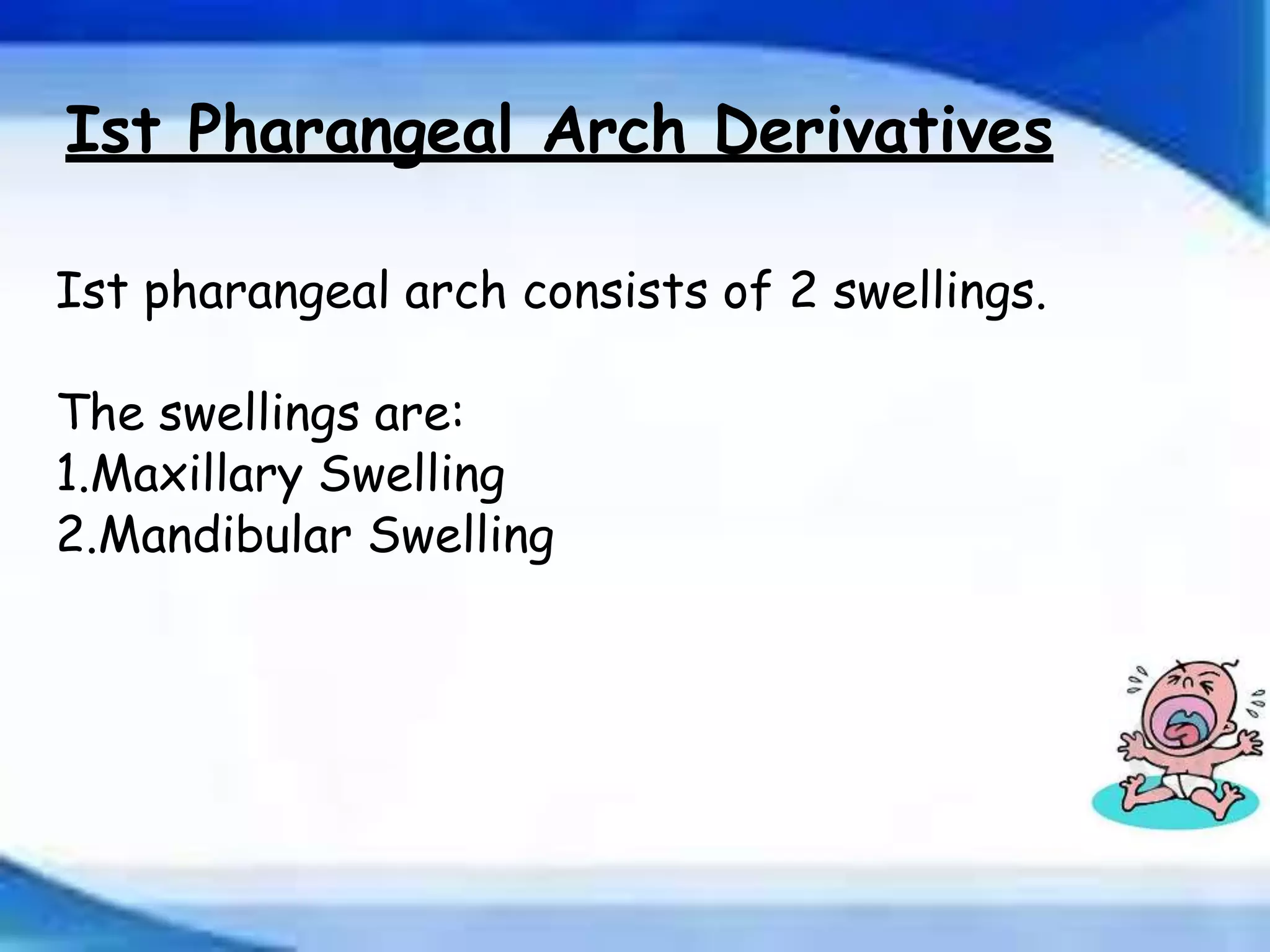 Development of Pharyngeal arches and pouches ppt | PPTX