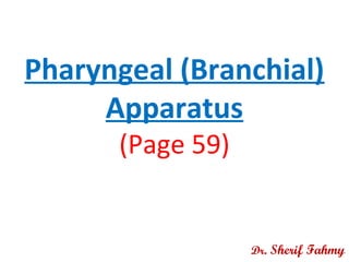Pharyngeal (Branchial)
Apparatus
(Page 59)
Dr. Sherif Fahmy
 