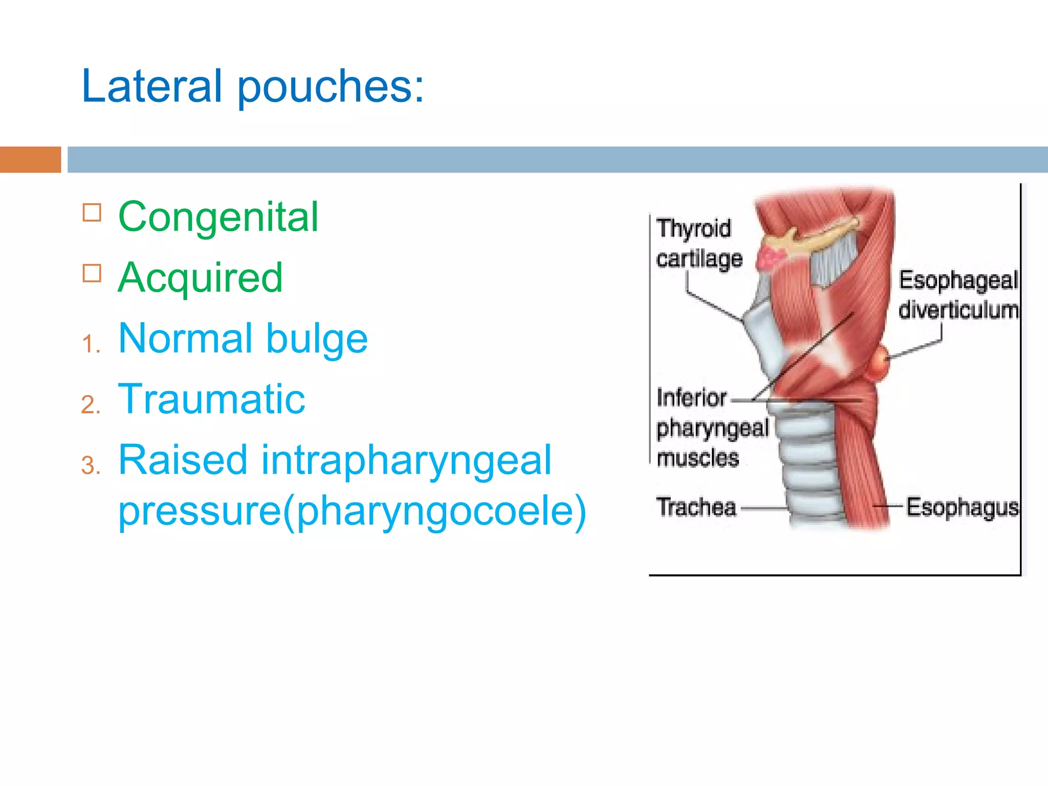 Pharyngeal pouches | PPT
