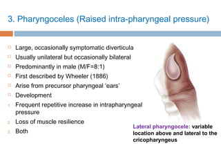 3. Pharyngoceles (Raised intra-pharyngeal pressure)
 Large, occasionally symptomatic diverticula
 Usually unilateral but occasionally bilateral
 Predominantly in male (M/F=8:1)
 First described by Wheeler (1886)
 Arise from precursor pharyngeal ‘ears’
 Development
1. Frequent repetitive increase in intrapharyngeal
pressure
2. Loss of muscle resilience
3. Both
Lateral pharyngocele: variable
location above and lateral to the
cricopharyngeus
 