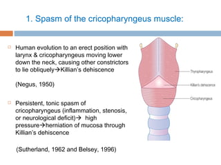 1. Spasm of the cricopharyngeus muscle:
 Human evolution to an erect position with
larynx & cricopharyngeus moving lower
down the neck, causing other constrictors
to lie obliquelyKillian’s dehiscence
(Negus, 1950)
 Persistent, tonic spasm of
cricopharyngeus (inflammation, stenosis,
or neurological deficit) high
pressureherniation of mucosa through
Killian’s dehiscence
(Sutherland, 1962 and Belsey, 1996)
 