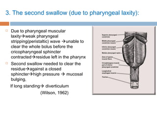 3. The second swallow (due to pharyngeal laxity):
 Due to pharyngeal muscular
laxityweak pharyngeal
stripping(peristaltic) wave unable to
clear the whole bolus before the
cricopharyngeal sphincter
contractedresidue left in the pharynx
 Second swallow needed to clear the
residueagainst a closed
sphincterhigh pressure  mucosal
bulging,
If long standing diverticulum
(Wilson, 1962)
 