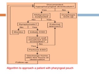 Algorithm to approach a patient with pharyngeal pouch
 