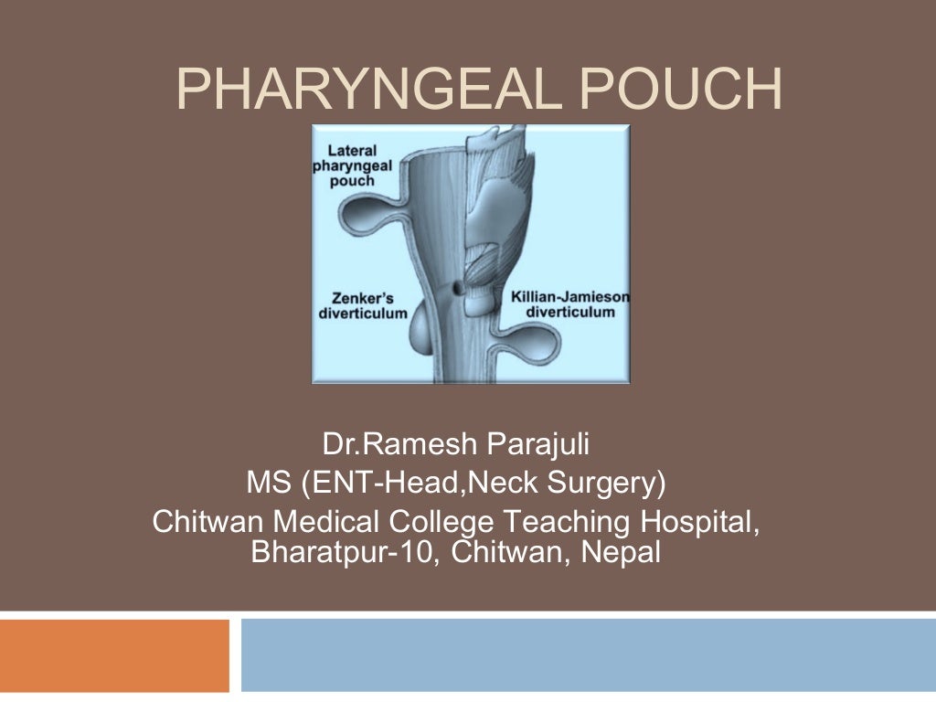 Pharyngeal pouches