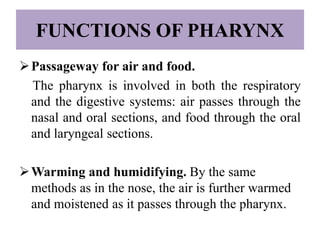 FUNCTIONS OF PHARYNX
Passageway for air and food.
The pharynx is involved in both the respiratory
and the digestive systems: air passes through the
nasal and oral sections, and food through the oral
and laryngeal sections.
Warming and humidifying. By the same
methods as in the nose, the air is further warmed
and moistened as it passes through the pharynx.
 