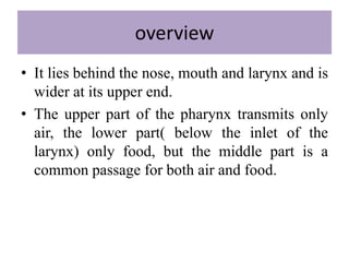 overview
• It lies behind the nose, mouth and larynx and is
wider at its upper end.
• The upper part of the pharynx transmits only
air, the lower part( below the inlet of the
larynx) only food, but the middle part is a
common passage for both air and food.
 
