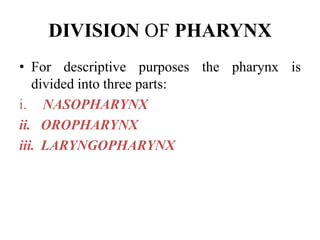 DIVISION OF PHARYNX
• For descriptive purposes the pharynx is
divided into three parts:
i. NASOPHARYNX
ii. OROPHARYNX
iii. LARYNGOPHARYNX
 