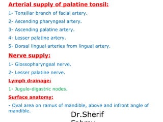 Arterial supply of palatine tonsil:
1- Tonsillar branch of facial artery.
2- Ascending pharyngeal artery.
3- Ascending pal...