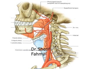 Dr.Sherif
Fahmy
 