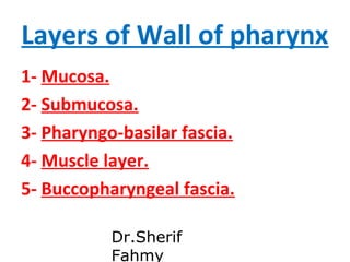 Layers of Wall of pharynx
1- Mucosa.
2- Submucosa.
3- Pharyngo-basilar fascia.
4- Muscle layer.
5- Buccopharyngeal fascia....