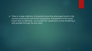  There is a large collection of lymphoid tissue (the pharyngeal tonsil) in the
mucosa covering the roof of the nasopharynx. Enlargement of this tonsil,
known then as adenoids , can occlude the nasopharynx so that breathing is
only possible through the oral cavity.
 