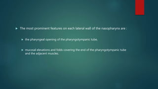  The most prominent features on each lateral wall of the nasopharynx are :
 the pharyngeal opening of the pharyngotympanic tube,
 mucosal elevations and folds covering the end of the pharyngotympanic tube
and the adjacent muscles.
 
