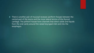  There is another pair of mucosal recesses (piriform fossae) between the
central part of the larynx and the more lateral lamina of the thyroid
cartilage. The piriform fossae form channels that direct solids and liquids
from the oral cavity around the raised laryngeal inlet and into the
esophagus.
 