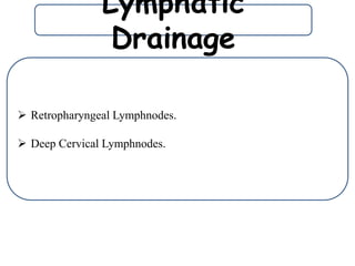 Lymphatic
Drainage
 Retropharyngeal Lymphnodes.
 Deep Cervical Lymphnodes.
 