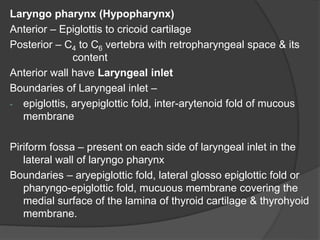 Laryngo pharynx (Hypopharynx)
Anterior – Epiglottis to cricoid cartilage
Posterior – C4 to C6 vertebra with retropharyngeal space & its
content
Anterior wall have Laryngeal inlet
Boundaries of Laryngeal inlet –
- epiglottis, aryepiglottic fold, inter-arytenoid fold of mucous
membrane
Piriform fossa – present on each side of laryngeal inlet in the
lateral wall of laryngo pharynx
Boundaries – aryepiglottic fold, lateral glosso epiglottic fold or
pharyngo-epiglottic fold, mucuous membrane covering the
medial surface of the lamina of thyroid cartilage & thyrohyoid
membrane.
 