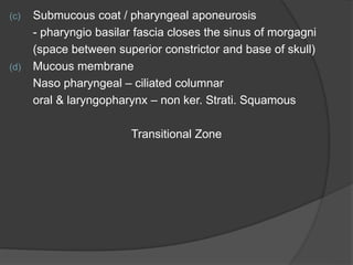 (c) Submucous coat / pharyngeal aponeurosis
- pharyngio basilar fascia closes the sinus of morgagni
(space between superior constrictor and base of skull)
(d) Mucous membrane
Naso pharyngeal – ciliated columnar
oral & laryngopharynx – non ker. Strati. Squamous
Transitional Zone
 