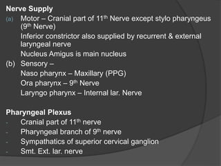 Nerve Supply
(a) Motor – Cranial part of 11th Nerve except stylo pharyngeus
(9th Nerve)
Inferior constrictor also supplied by recurrent & external
laryngeal nerve
Nucleus Amigus is main nucleus
(b) Sensory –
Naso pharynx – Maxillary (PPG)
Ora pharynx – 9th Nerve
Laryngo pharynx – Internal lar. Nerve
Pharyngeal Plexus
- Cranial part of 11th nerve
- Pharyngeal branch of 9th nerve
- Sympathatics of superior cervical ganglion
- Smt. Ext. lar. nerve
 