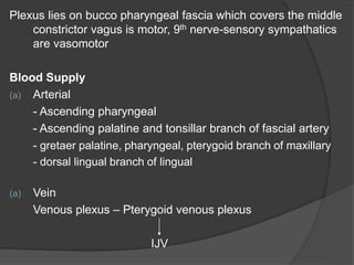 Plexus lies on bucco pharyngeal fascia which covers the middle
constrictor vagus is motor, 9th nerve-sensory sympathatics
are vasomotor
Blood Supply
(a) Arterial
- Ascending pharyngeal
- Ascending palatine and tonsillar branch of fascial artery
- gretaer palatine, pharyngeal, pterygoid branch of maxillary
- dorsal lingual branch of lingual
(a) Vein
Venous plexus – Pterygoid venous plexus
IJV
 