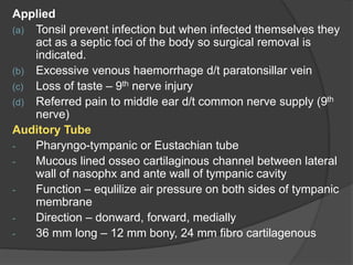 Applied
(a) Tonsil prevent infection but when infected themselves they
act as a septic foci of the body so surgical removal is
indicated.
(b) Excessive venous haemorrhage d/t paratonsillar vein
(c) Loss of taste – 9th nerve injury
(d) Referred pain to middle ear d/t common nerve supply (9th
nerve)
Auditory Tube
- Pharyngo-tympanic or Eustachian tube
- Mucous lined osseo cartilaginous channel between lateral
wall of nasophx and ante wall of tympanic cavity
- Function – equlilize air pressure on both sides of tympanic
membrane
- Direction – donward, forward, medially
- 36 mm long – 12 mm bony, 24 mm fibro cartilagenous
 