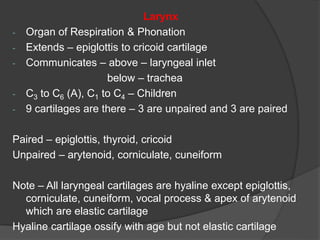 Larynx
- Organ of Respiration & Phonation
- Extends – epiglottis to cricoid cartilage
- Communicates – above – laryngeal inlet
below – trachea
- C3 to C6 (A), C1 to C4 – Children
- 9 cartilages are there – 3 are unpaired and 3 are paired
Paired – epiglottis, thyroid, cricoid
Unpaired – arytenoid, corniculate, cuneiform
Note – All laryngeal cartilages are hyaline except epiglottis,
corniculate, cuneiform, vocal process & apex of arytenoid
which are elastic cartilage
Hyaline cartilage ossify with age but not elastic cartilage
 