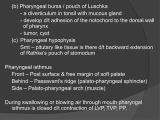 (b) Pharyngeal bursa / pouch of Luschka
- a diverticulum in tonsil with mucous gland
- develop d/t adhesion of the notochord to the dorsal wall
of pharynx
- tumor, cyst
(c) Pharyngeal hypophysis
Smt – pitutary like tissue is there d/t backward extension
of Rathke’s pouch of stomodum
Pharyngeal isthmus
Front – Post surface & free margin of soft palate
Behind – Passavant’s ridge (palato-pharyngeal sphincter)
Side – Palato-pharyngeal arch (muscle)
During swallowing or blowing air through mouth pharyngal
isthmus is closed d/t contraction of LVP, TVP, PP.
 
