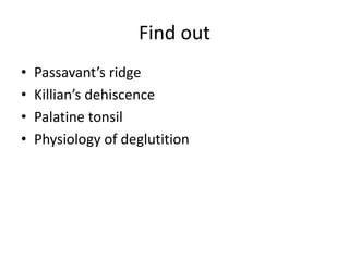 Find out
• Passavant’s ridge
• Killian’s dehiscence
• Palatine tonsil
• Physiology of deglutition
 